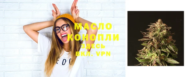 гидра Вязники