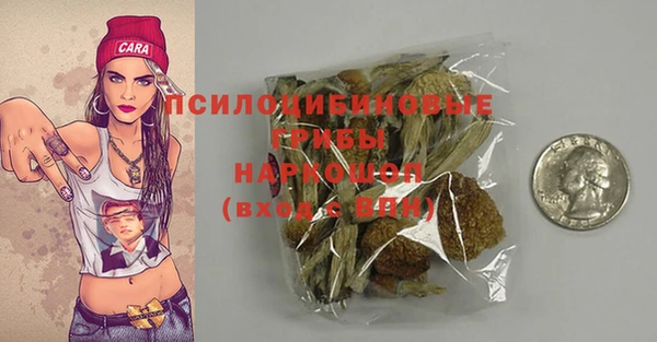 гидра Вязники