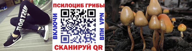 закладки  Петухово  Галлюциногенные грибы ЛСД 